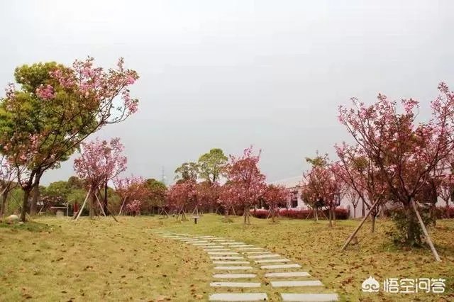 华中科技大学的自动化专业怎么样？就业和薪酬前景如何？