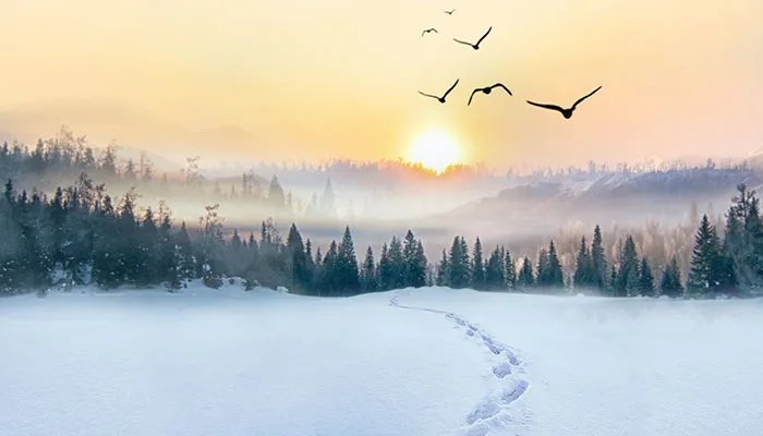 寒潮等级划分颜色 寒潮预警等级划分