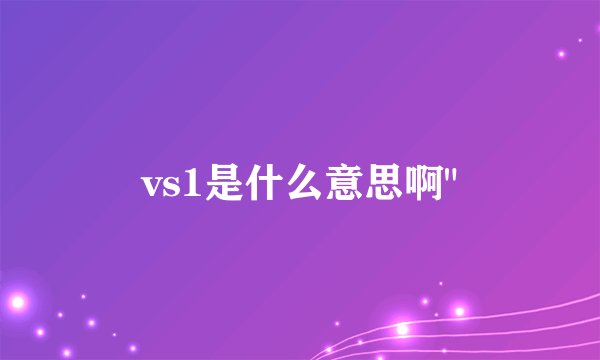 vs1是什么意思啊