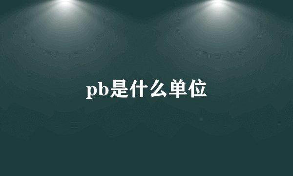 pb是什么单位