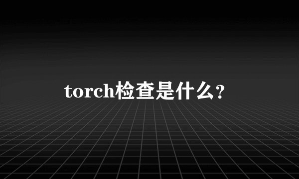 torch检查是什么？