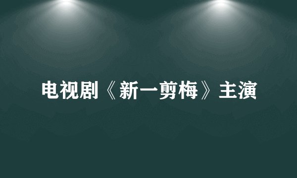 电视剧《新一剪梅》主演