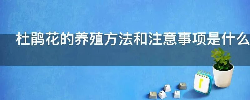 杜鹃花的养殖方法和注意事项是什么