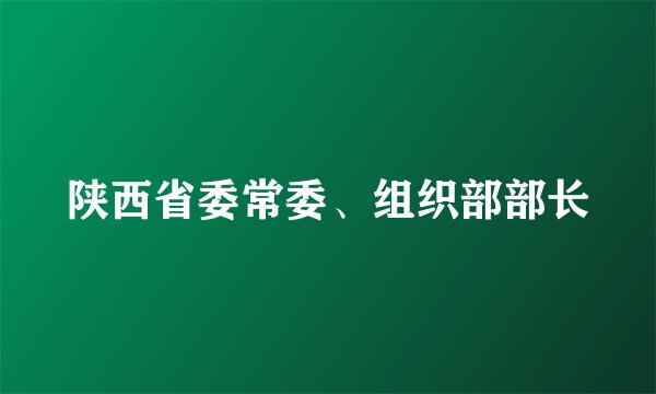 陕西省委常委、组织部部长