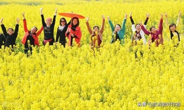 现在跟着旅游团出去旅游，有的报价特别低，你怎么看呢？