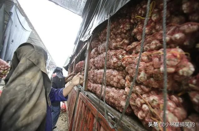 白沙洲市场‘玉米’事件处理的怎么样了？