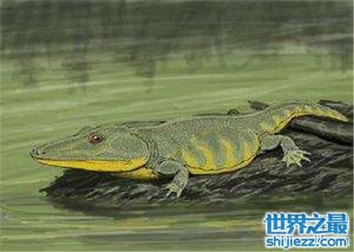 虾蟆螈以吃恐龙生存 已灭绝的史前恐怖生物 