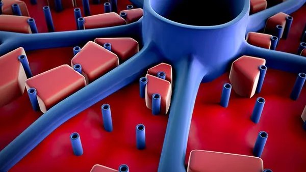 新冠病毒返程高峰怎么办？新型冠状病毒高峰期何时结束?