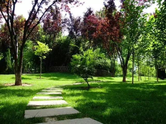 石家庄有哪些城市文化名片?