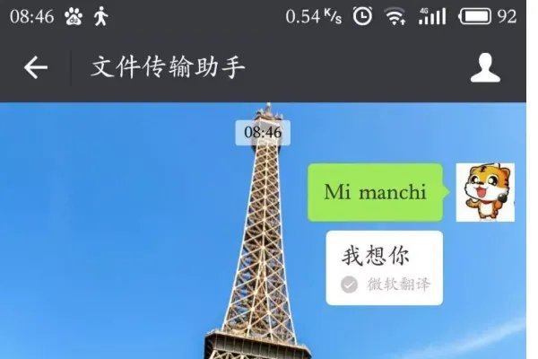 mi manchi翻译中文