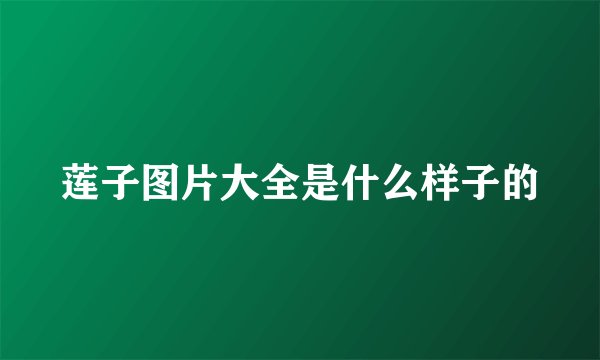 莲子图片大全是什么样子的