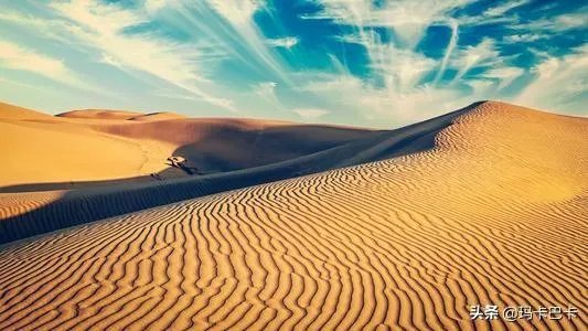 在一片沙漠里有编故事100字？