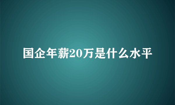 国企年薪20万是什么水平