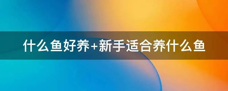什么鱼好养 新手适合养什么鱼