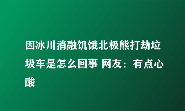 因冰川消融饥饿北极熊打劫垃圾车是怎么回事 网友：有点心酸