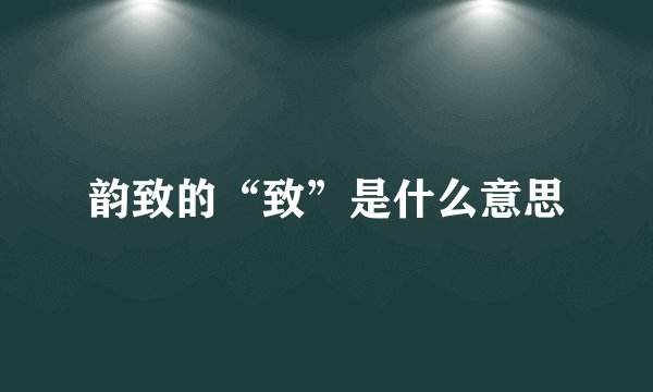 韵致的“致”是什么意思