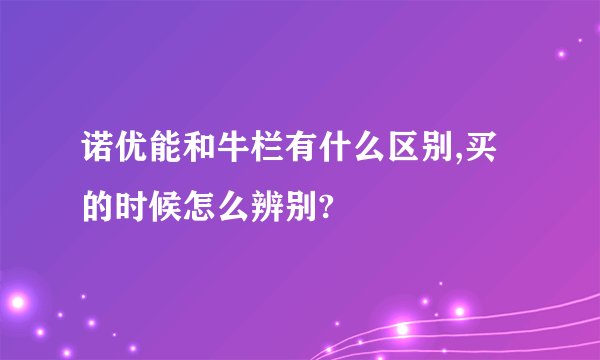 诺优能和牛栏有什么区别,买的时候怎么辨别?