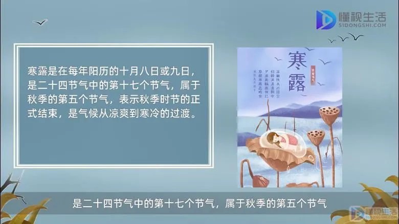 寒露是几月几日