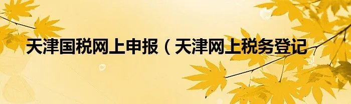 天津国税网上申报(天津网上税务登记