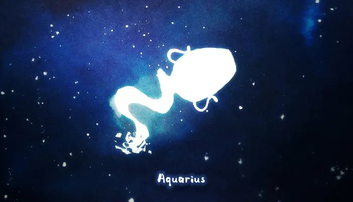 水瓶女生性格特点