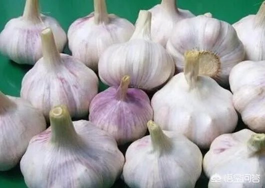 大蒜种植用什么肥料？