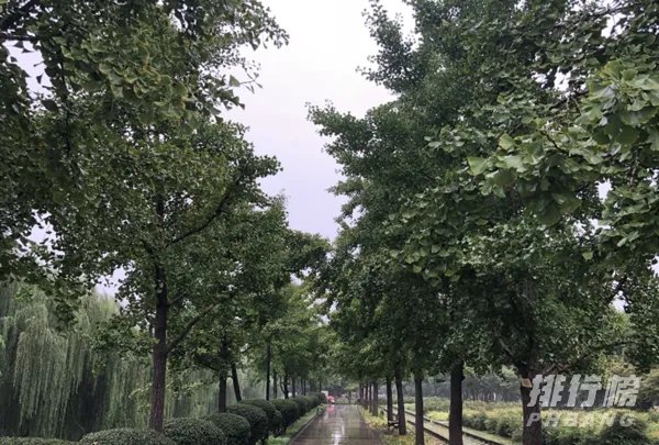 iphone12和iphone8p尺寸对比_iphone12和iphone8p尺寸大小对比