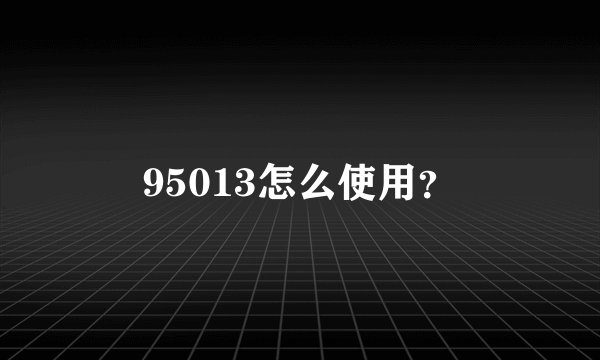 95013怎么使用？