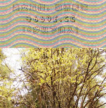 中央13台新闻直播间主持人