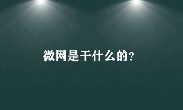 微网是干什么的？