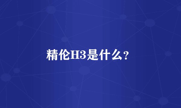 精伦H3是什么？