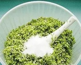 韭菜花腌制方法