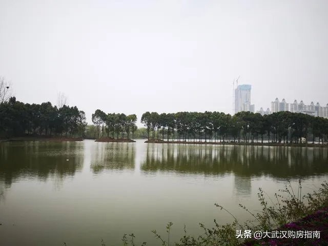 武汉硚口和东西湖的房子那个好