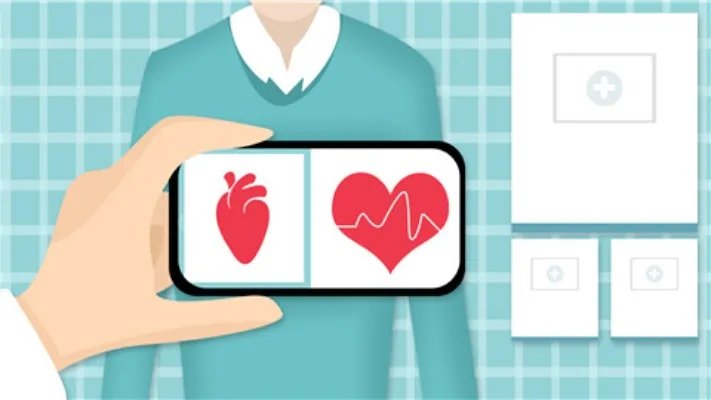 何首乌的功效与作用