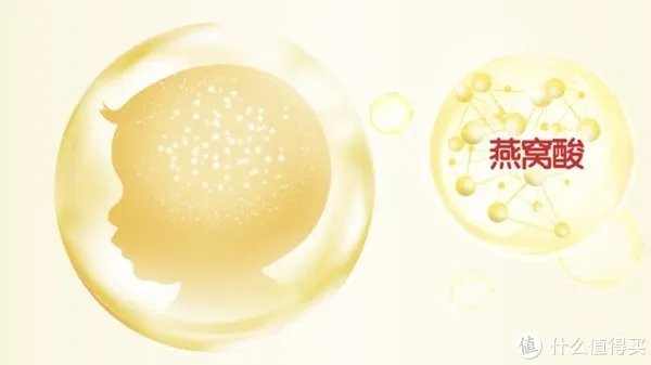 金领冠珍护奶粉怎么样