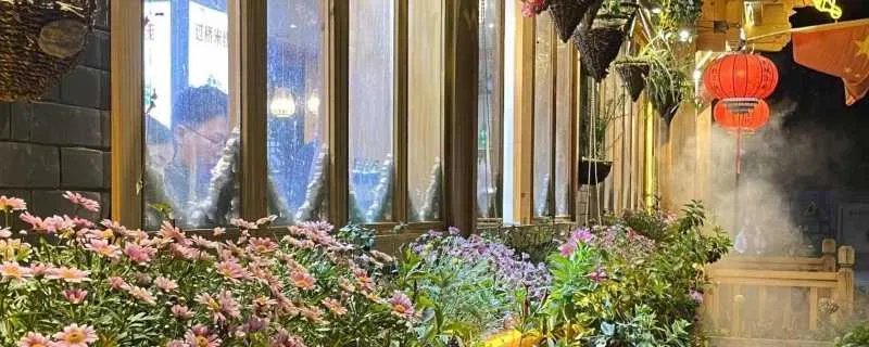 qq分组英文简单唯美带符号 qq分组名称简单好听英文