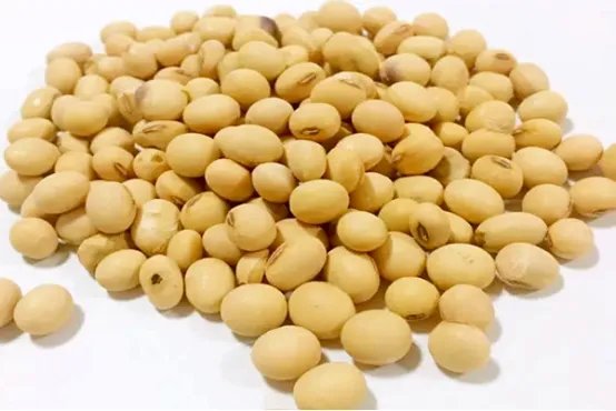 黄豆的功效与作用有哪些
