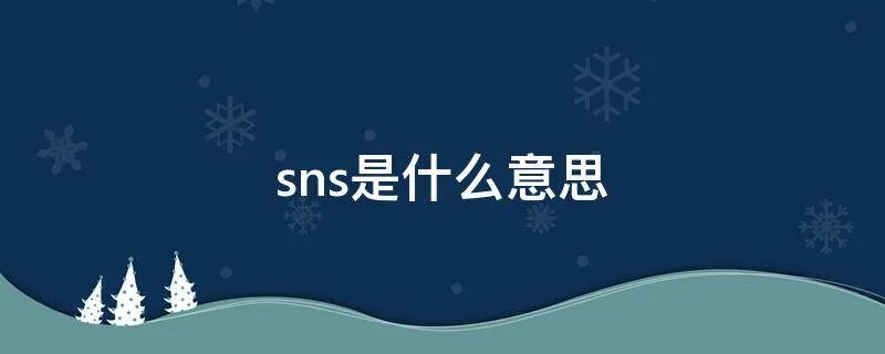 sns是什么意思