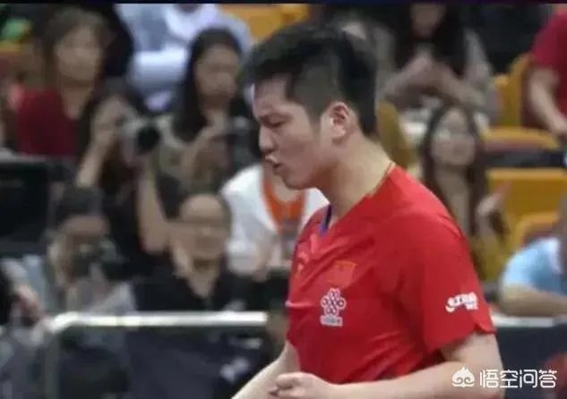 樊振东4:1逆转张本智和晋级2019年亚洲杯男单决赛，如何评价本场比赛双方的表现？