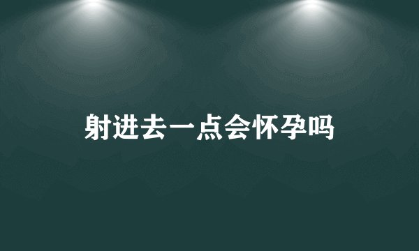 射进去一点会怀孕吗