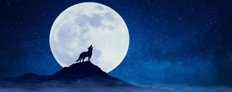 狼 的文言文原文和翻译 蒲松龄写的狼原文及翻译