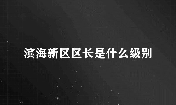 滨海新区区长是什么级别