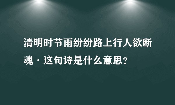 清明时节雨纷纷路上行人欲断魂·这句诗是什么意思？
