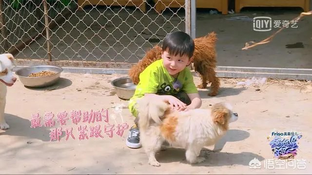 邓莎家的大麟子你们喜欢吗？