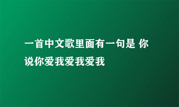 一首中文歌里面有一句是 你说你爱我爱我爱我