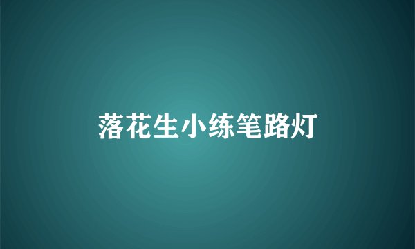 落花生小练笔路灯