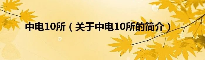 中电10所（关于中电10所的简介）