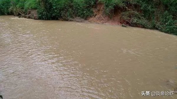 雨后池塘水浑浊怎么处理？