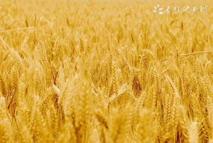 疾病慢性鼻炎 慢性鼻炎医网慢性鼻炎该注意什么?