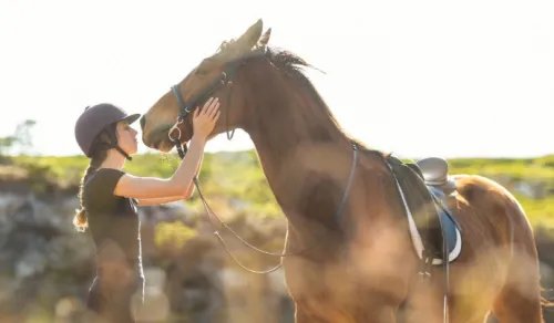 1942年属什么生肖属相 1942年的属马的是什么命