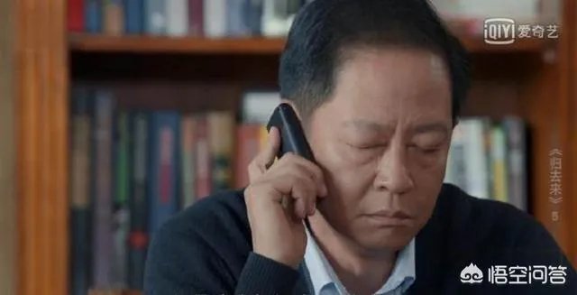 你怎么看电视剧《归去来》中王志文扮演的书望？